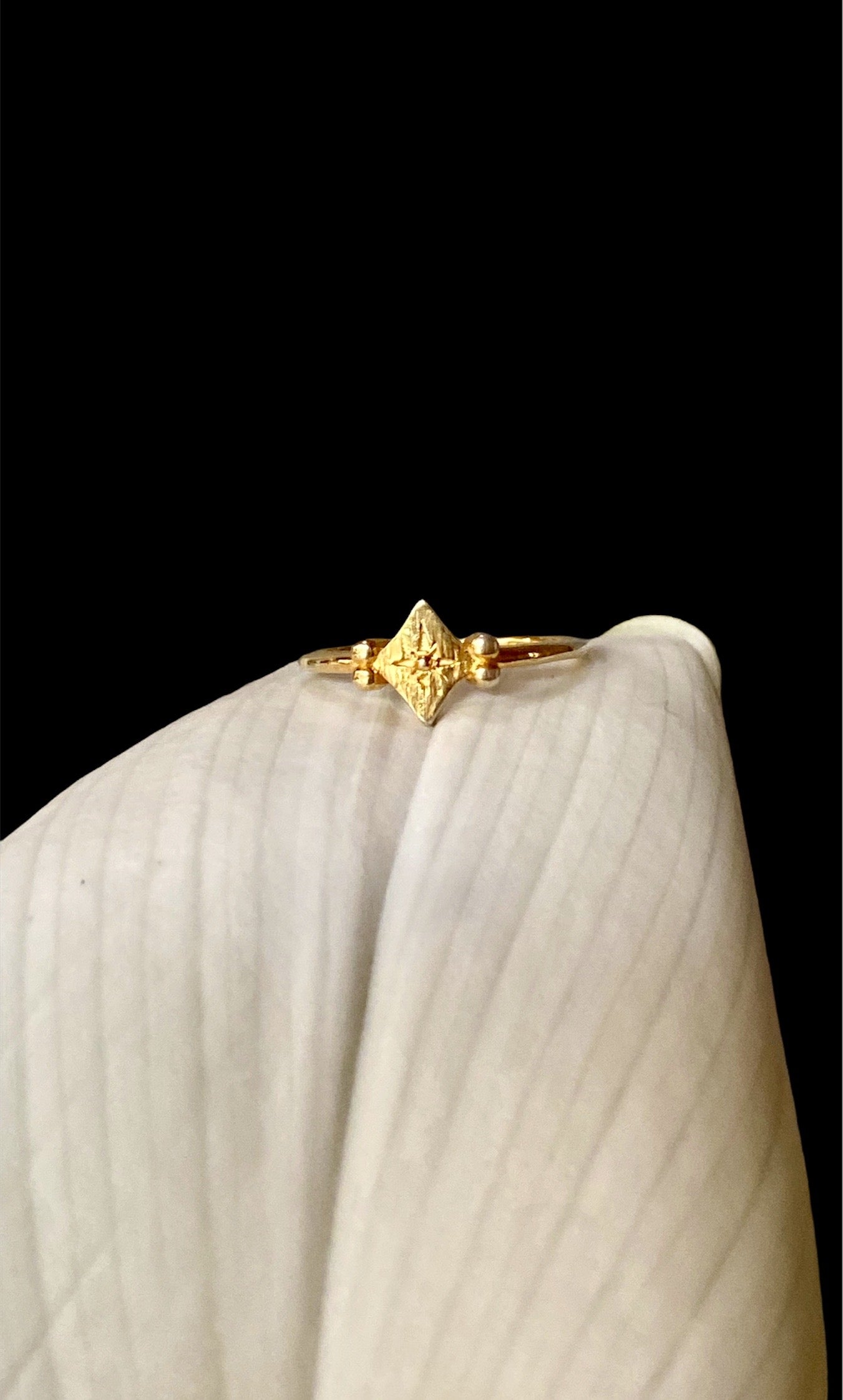 North star ring