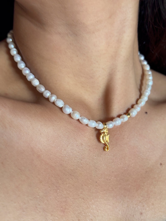 She trusts the current